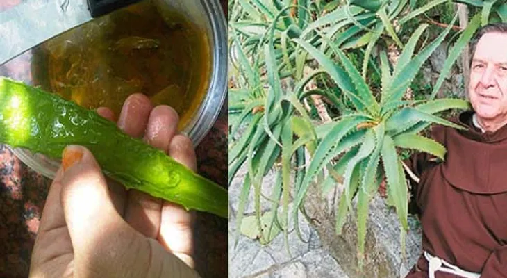 Monje famoso asegura: estos 3 ingredientes matan el cáncer!? jamás me lo hubiera imaginado ¡wow! es genial