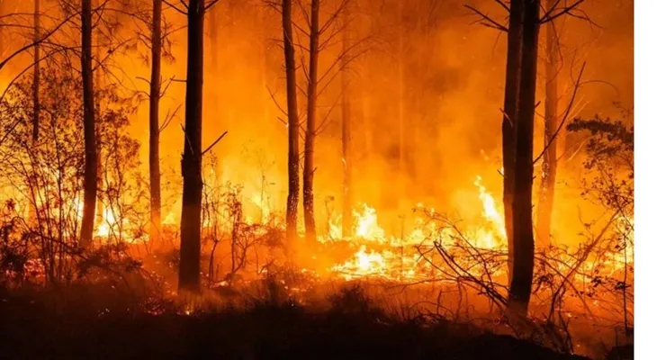 Evacúan pueblos en Francia por incendio en Gironda