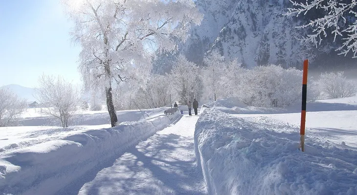 OMS dice que no se sabe si el invierno hace más agresivo al coronavirus