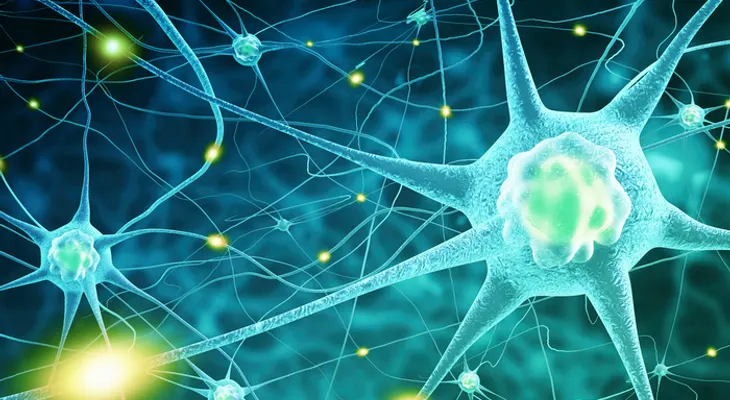 7 formas de mejorar las funciones cognitivas para potenciar el cerebro