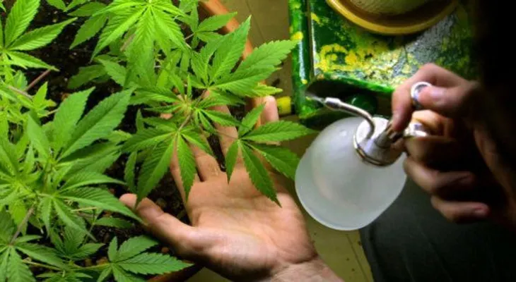 Nueva York despenaliza posesión de marihuana tras fracasar su legalización