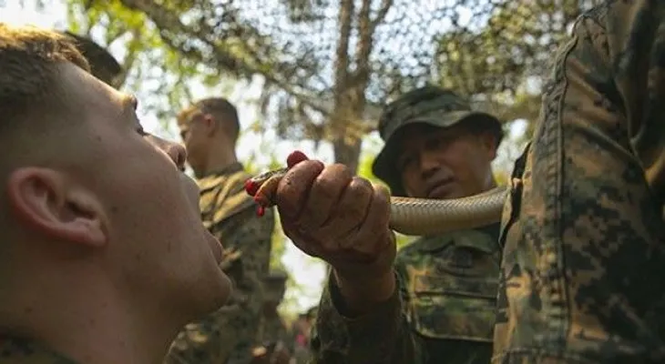 Soldados de EE.UU. y aliados comen cobras y escorpiones en entrenamiento 