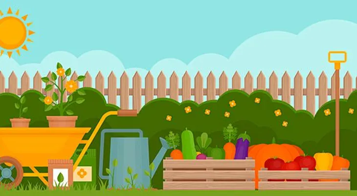5 cultivos fáciles para empezar un huerto en casa