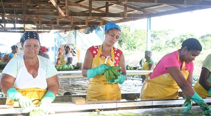 Gobierno: Proyecto La Cruz de Manzanillo exporta 8 mil cajas banano y plátano 