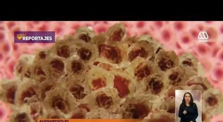 Un científico chileno que solo tenía dos meses de vida, sanó su propio cáncer