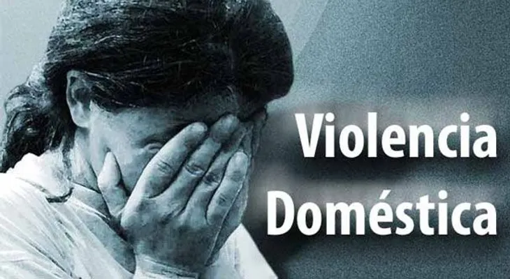 Informe revela más de 85 mil víctimas en NY por violencia doméstica