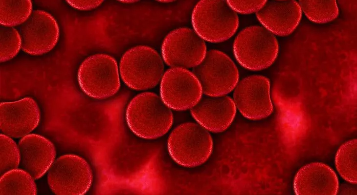 Logran erradicar el VIH por medio de un tratamiento experimental