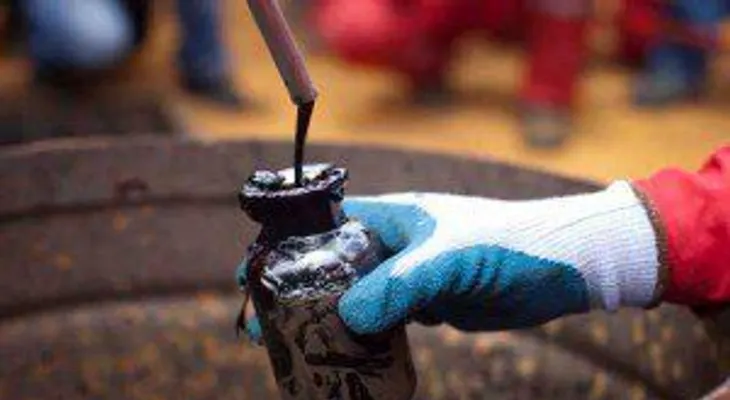El petróleo de Texas sube un 0,54 % y cierra en 42,50 dólares el barril