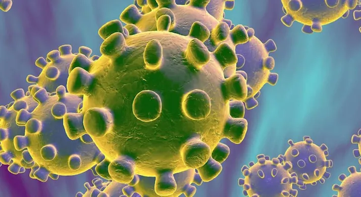 Describen cómo un tipo de virus evade la activación de la respuesta inmune