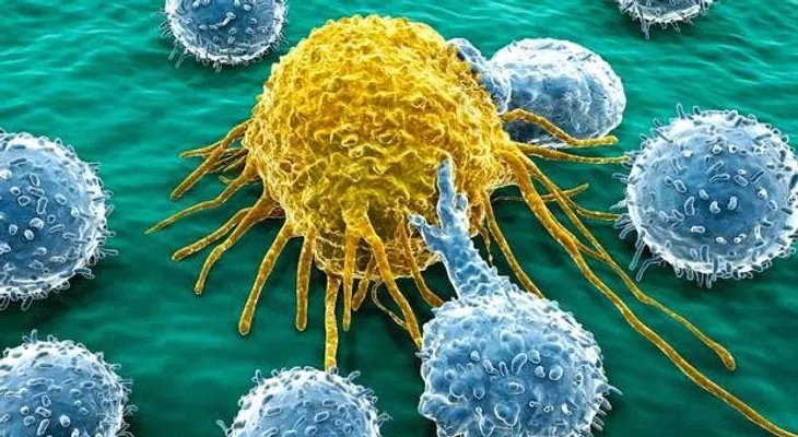 Descubren la manera de detener la metástasis del cáncer