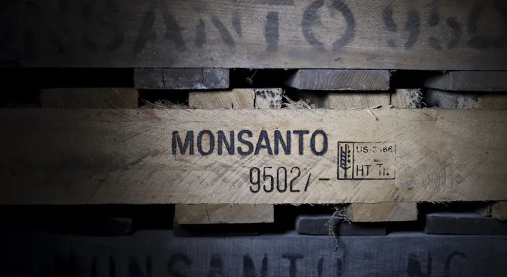 Bayer compra Monsanto por 66.000 millones de dólares
