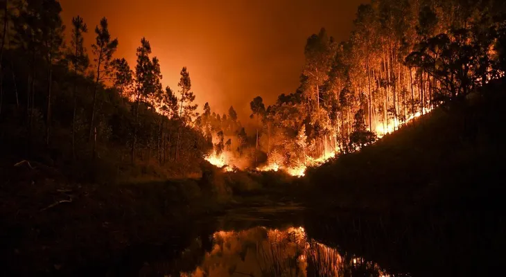 La fotografía que emociona a todo Portugal