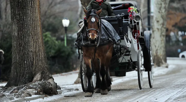 Un acuerdo podría mantener los carruajes tirados por caballos en Nueva York
