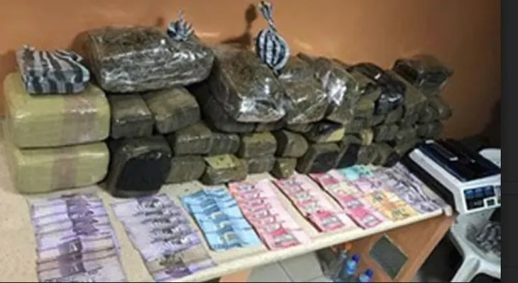 Autoridades ocupan 135.5 libras de marihuana en Santo Domingo Este