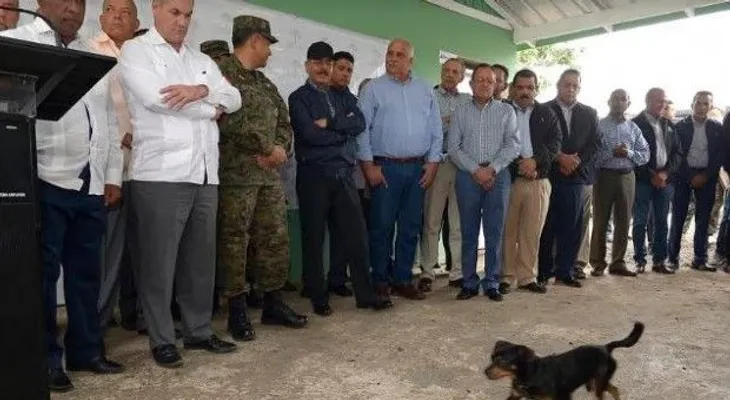 Un perrito se roba la mirada del presidente Danilo Medina