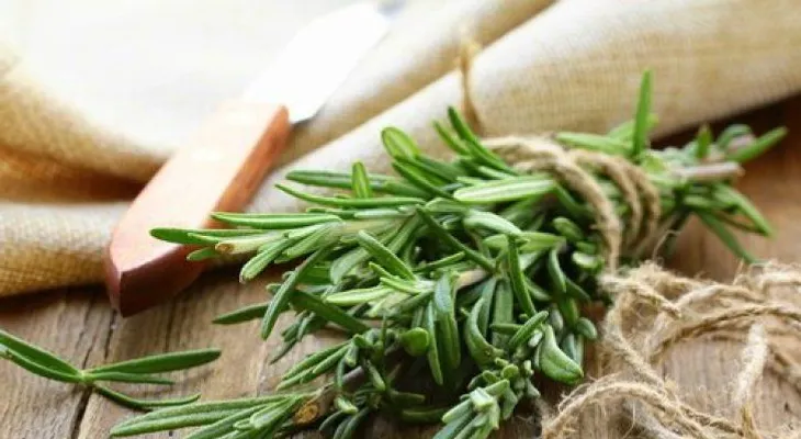 5 infusiones para mantener saludable la circulación