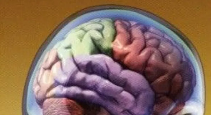 Un tipo de fruta para cada quien. La fresa ayuda a mantener el cerebro más joven 