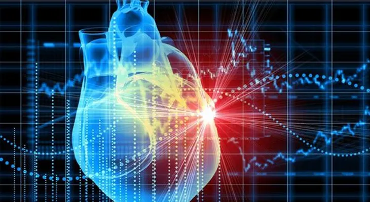 Regeneran corazones humanos a partir de células de la piel