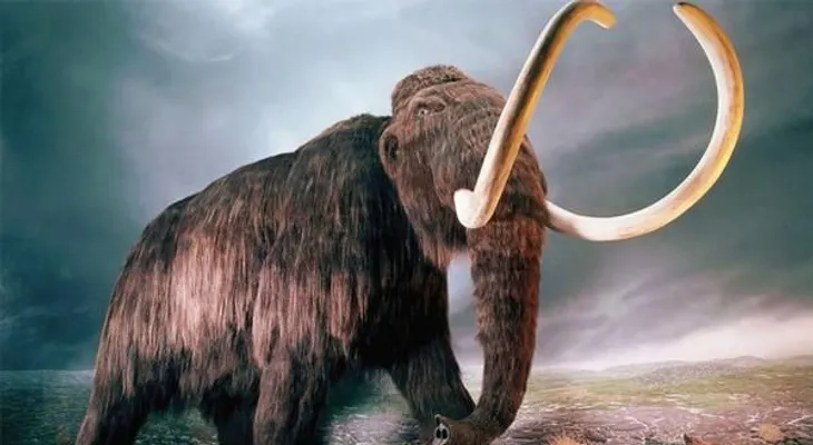 Nuevo paso en clonación mamut: insertan sus genes en ADN de un elefante vivo