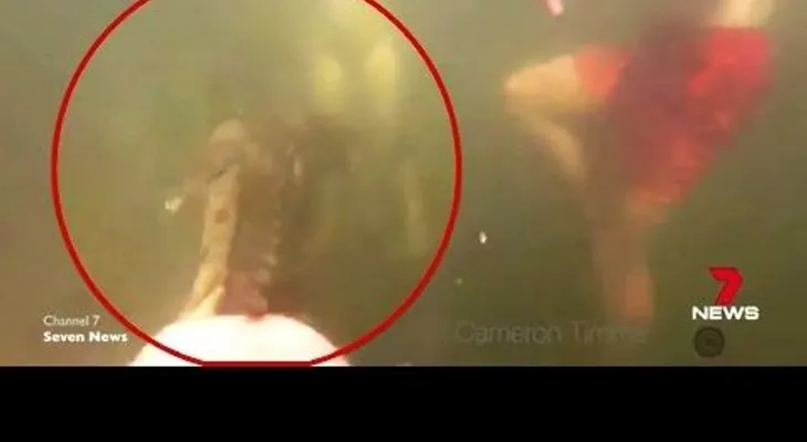 IMAGENES FUERTES: Captan un cocodrilo atacando a un adolescente