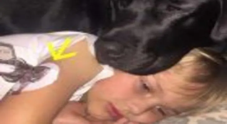 Su perro la llama en mitad de la noche...¡¿Dios mío como es posible?!