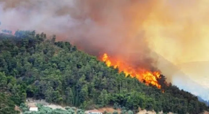 Medio Ambiente confirma fuego forestal en loma El Curro