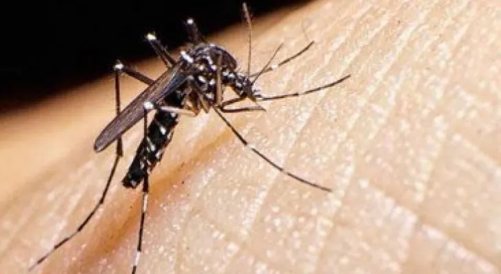 Salud Miranda alerta sobre una segunda epidemia de zika