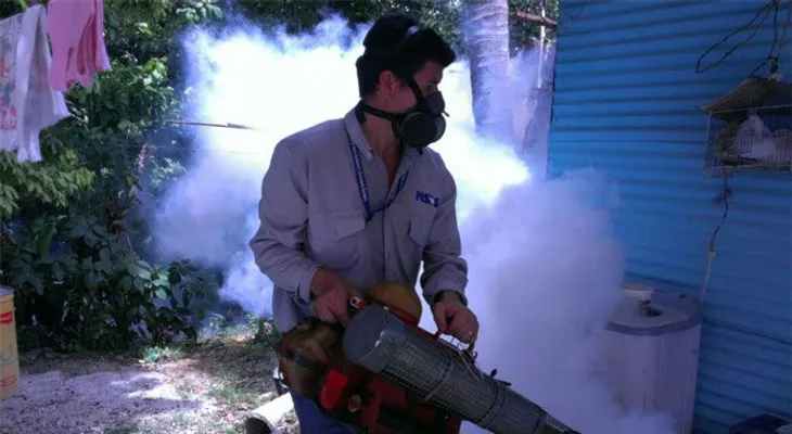 822 casos de chikungunya en Brasil 