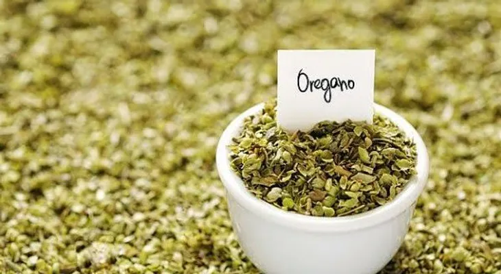 5 beneficios de consumir orégano?