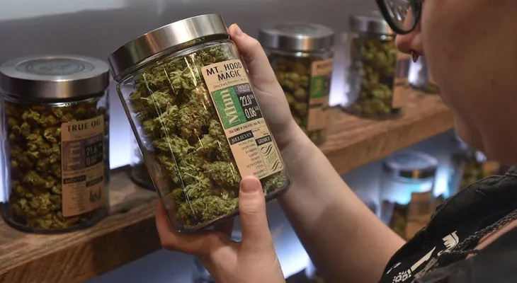 Hay poca evidencia de que la marihuana ayude a controlar el dolor crónico, según estudio