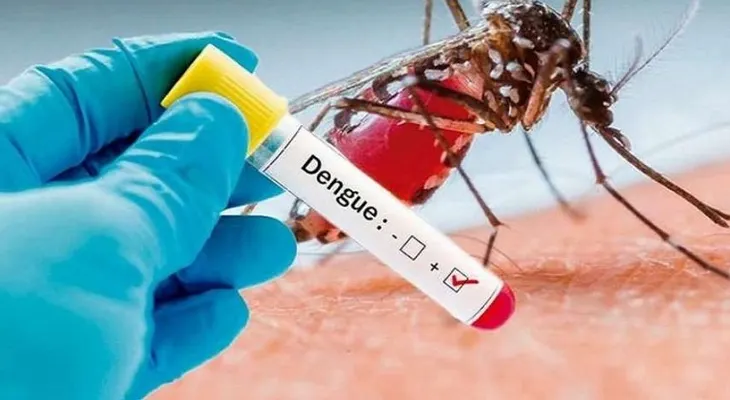 Salud Pública destaca baja incidencia de dengue en República Dominicana frente al promedio de las Américas