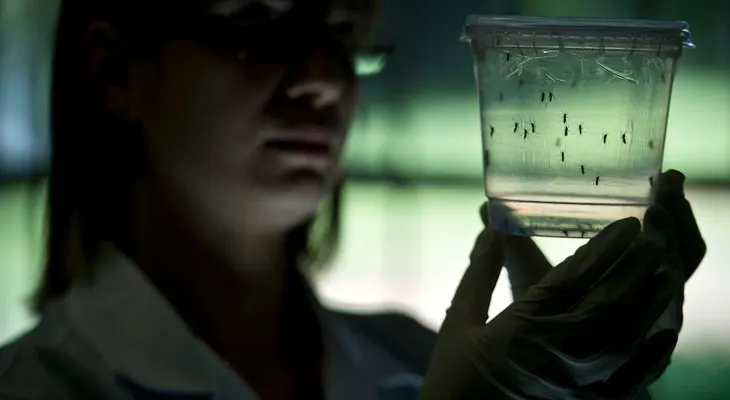 Estos países de América Latina han registrado casos del virus del zika