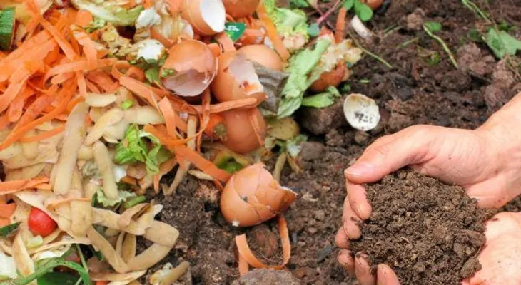 10 recetas de fertilizantes naturales para tus plantas