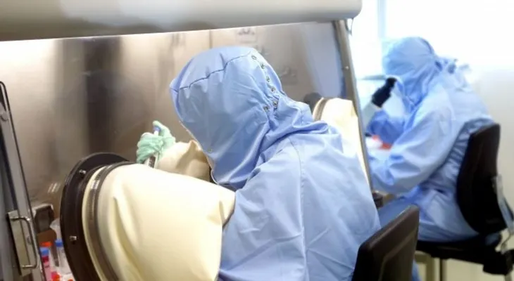 Científicos brasileños detectan el virus de fiebre amarilla en orina y semen