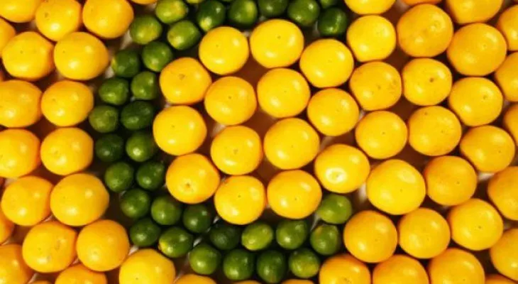 ¿La vitamina C sirve para tratar el cáncer de colon?