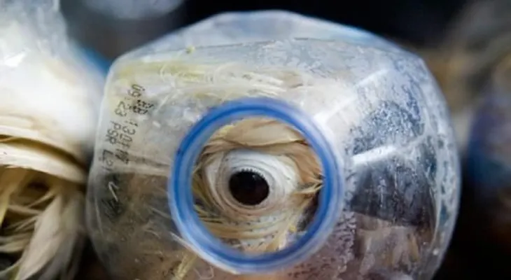 Los agentes de aduanas quedaron horrizados cuando vieron esto en las botellas de plástico...