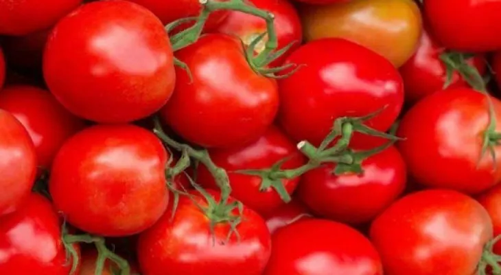 Enétare cuáles son los alimentos que ayudan a prevenir el cáncer