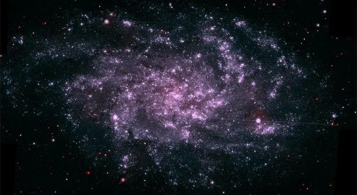 ¿Vivimos dentro de un extraterrestre?: Un científico sugiere por qué no encontramos vida alienígena