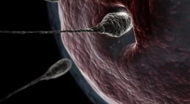 Las mutaciones de esperma ponen en peligro hijos de padres adolescentes