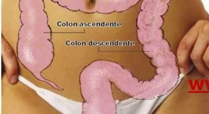 Para curar el colon irritable