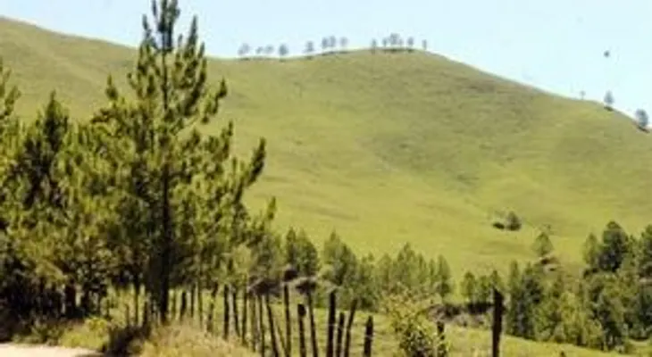 TSA rechaza solicitud de regularizar plazo para desalojar Valle Nuevo