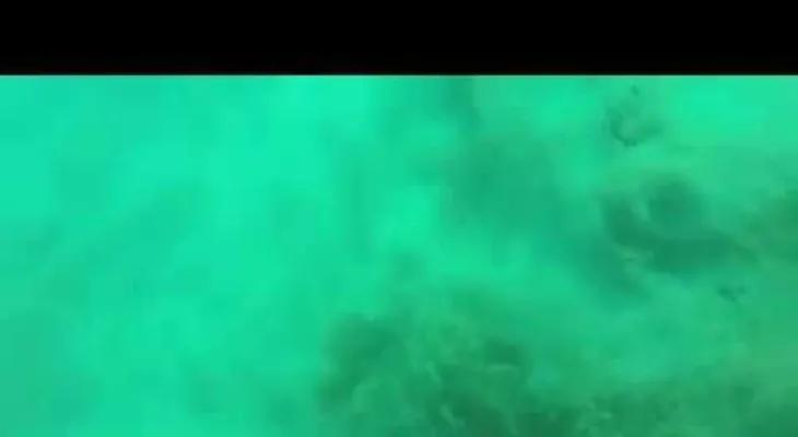 Un grupo de buzos fue sorprendido por un terremoto en el fondo del mar