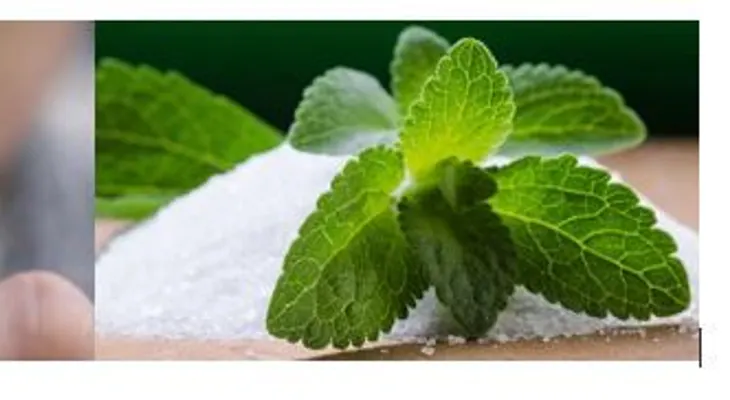 Esta hoja probada para perder peso y que los fumadores dejen el vicio