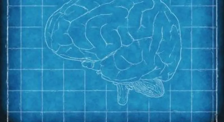 Así decide el cerebro lo que es importante