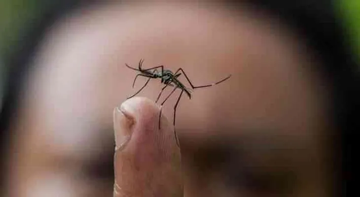 Venezuela anuncia cinco nuevos casos de fiebre de chikungunya