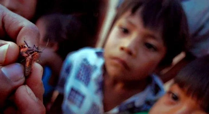 600 compuestos contra la leishmaniasis, el Chagas y el mal del sueño