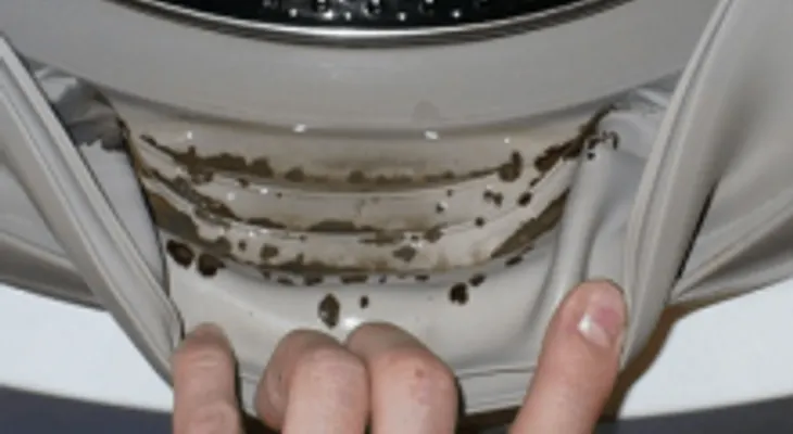 Usa estos 2 ingredientes para quitar el moho y olores desagradables de tu lavadora 