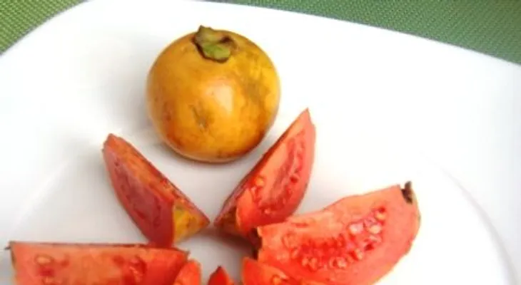 Guayaba: Jugos curativos y propiedades: una fruta llena de antioxidantes