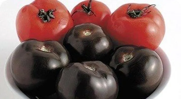 Tomates morados contra el cáncer 