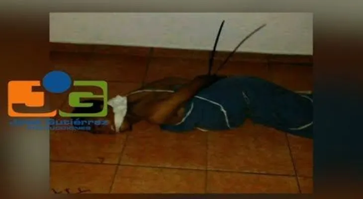 Misterioroso caso de joven Jefry Yordany Bautista, secuestrado y dejado en motel en La Vega